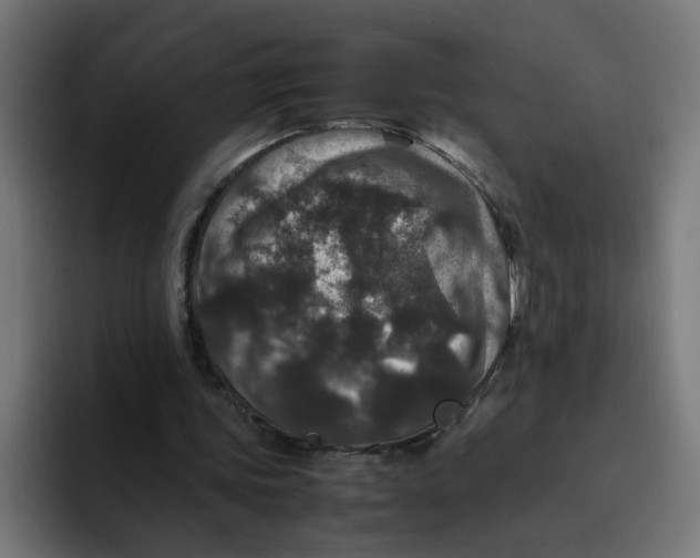 X0000094820339200712071250