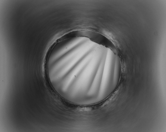 X0000094820340200712071250