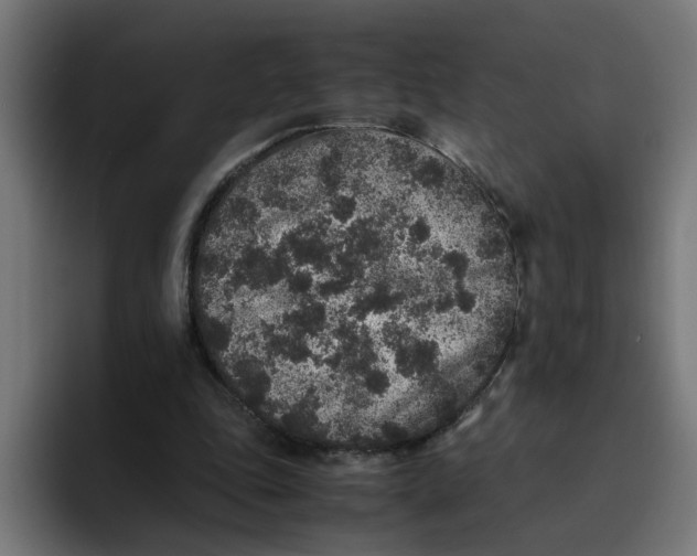 X0000094820343200712071250