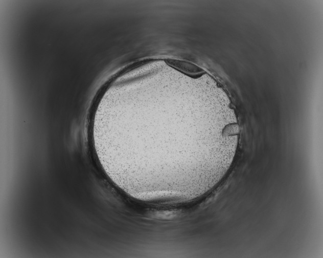 X0000094820344200712071250