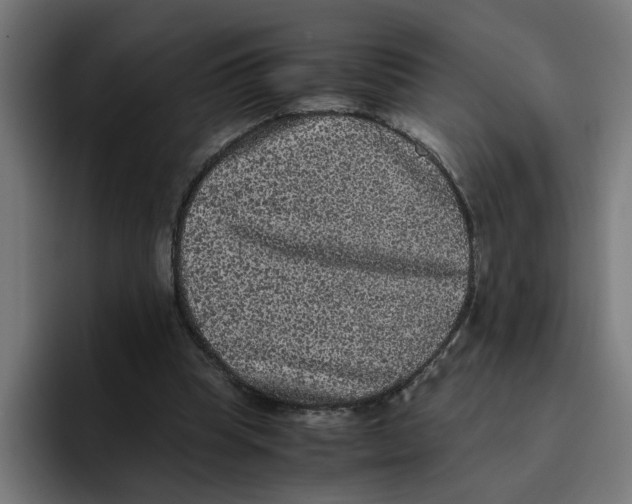X0000094820345200712071250