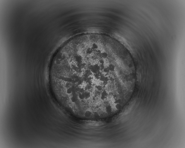 X0000094820347200712071250