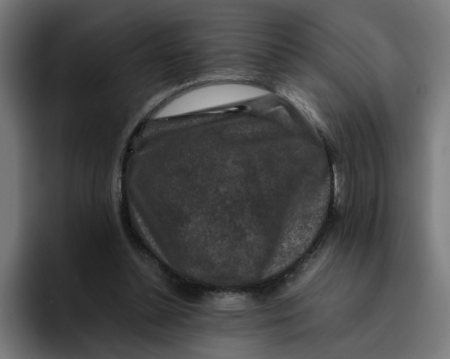 X0000094820348200712071250