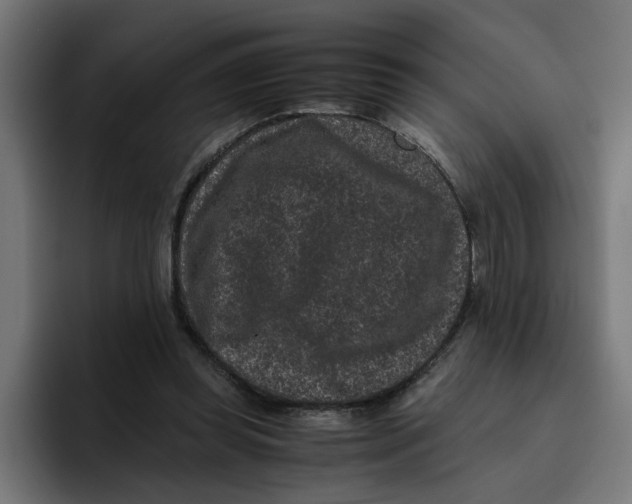 X0000094820349200712071250