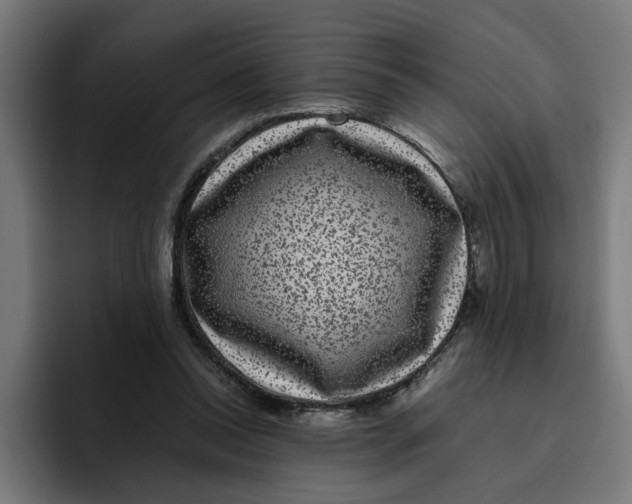 X0000094820350200712071250