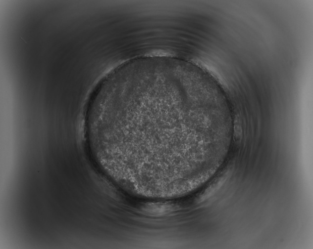X0000094820351200712071250