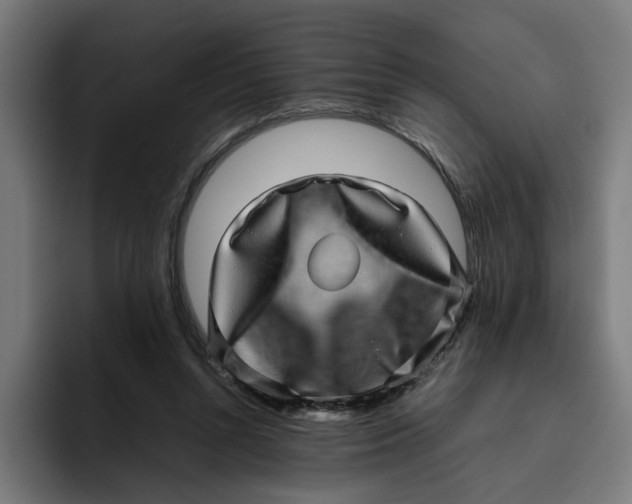 X0000094820352200712071250