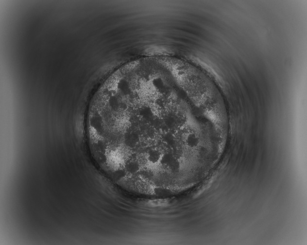 X0000094820353200712071250