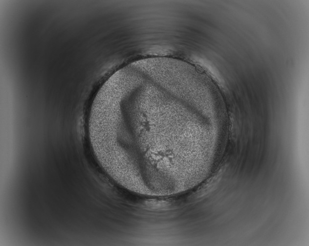 X0000094820354200712071250