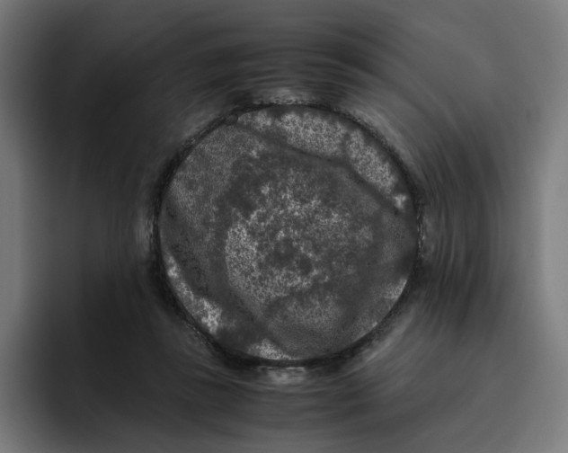 X0000094820355200712071250