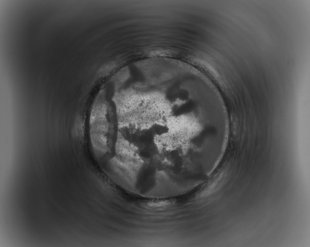 X0000094820357200712071250