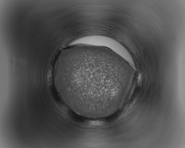 X0000094820360200712071250