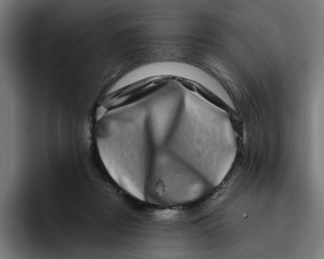 X0000094820362200712071250