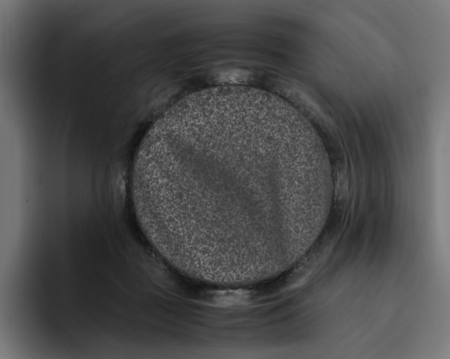 X0000094820363200712071250
