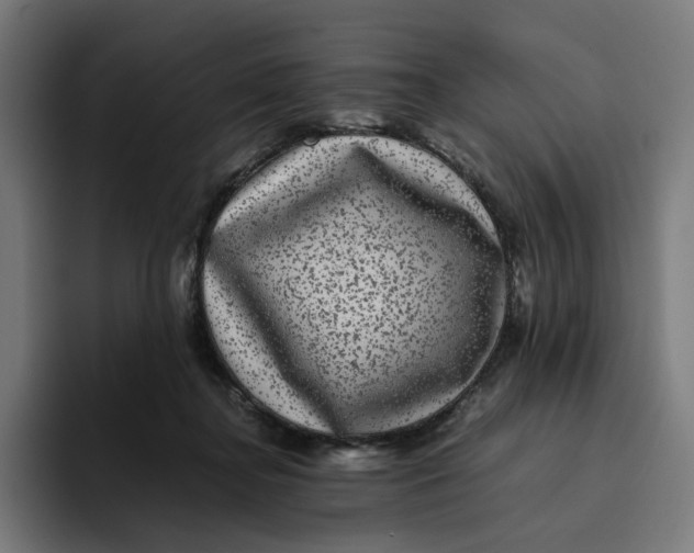 X0000094820364200712071250