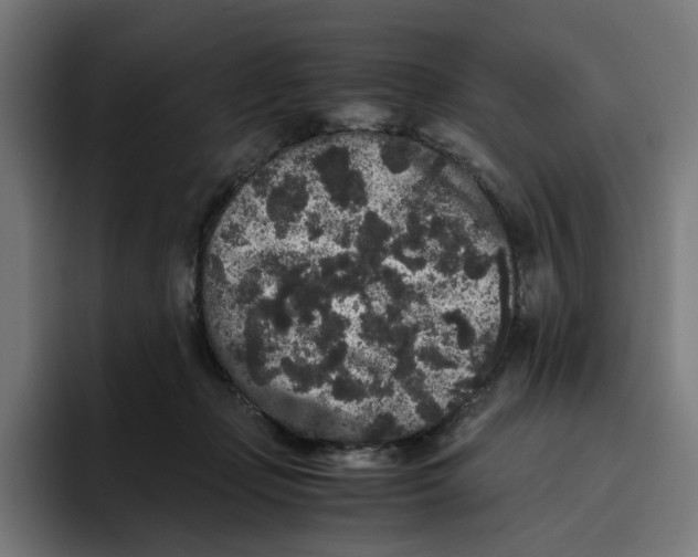 X0000094820365200712071250
