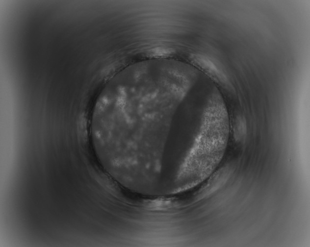 X0000094820366200712071250