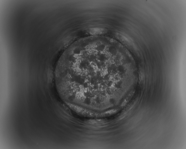 X0000094820367200712071250