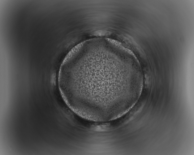 X0000094820368200712071250