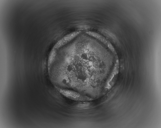 X0000094820369200712071250