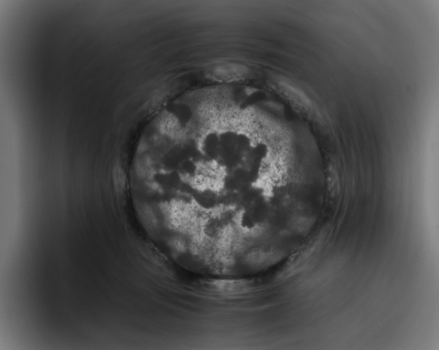 X0000094820371200712071250