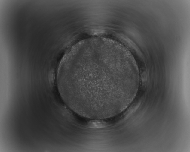 X0000094820372200712071250