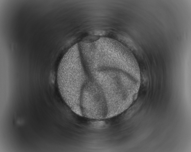 X0000094820374200712071250