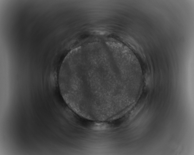 X0000094820376200712071251