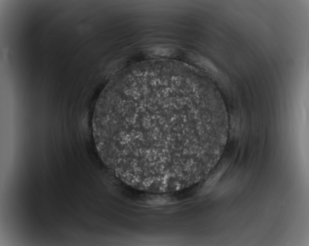 X0000094820377200712071251