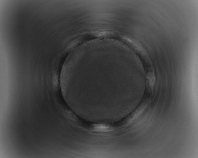 X0000094820380200712071251