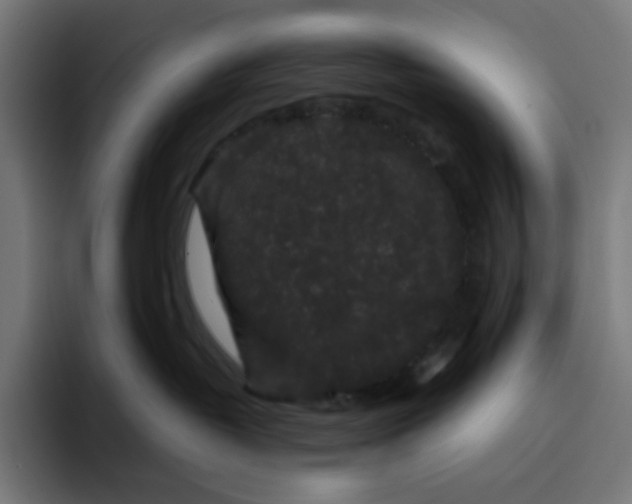 X0000094820382200712071251