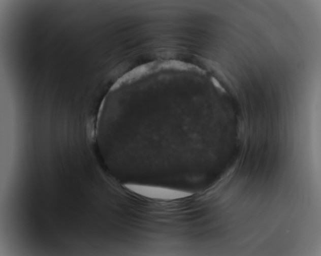 X0000094820383200712071251