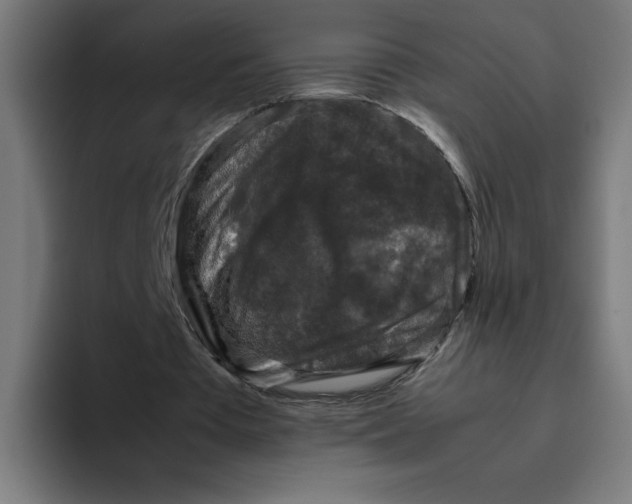 X0000094820385200712071250