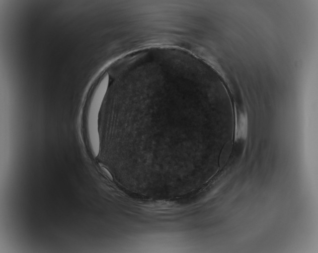 X0000094820387200712071250