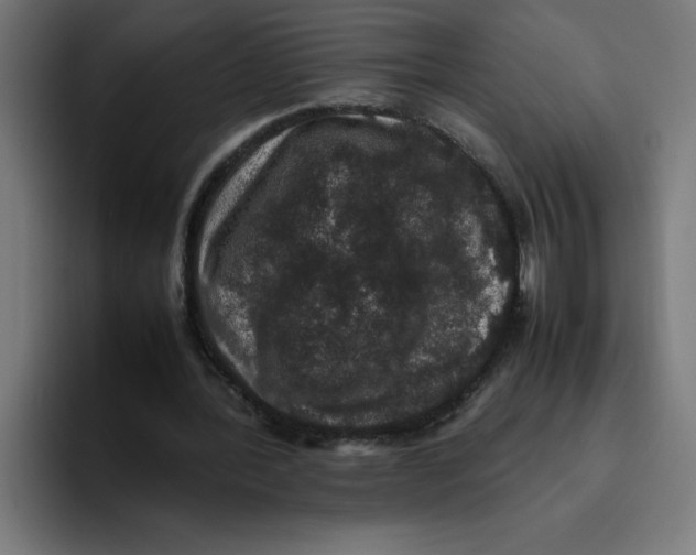 X0000094820388200712071250