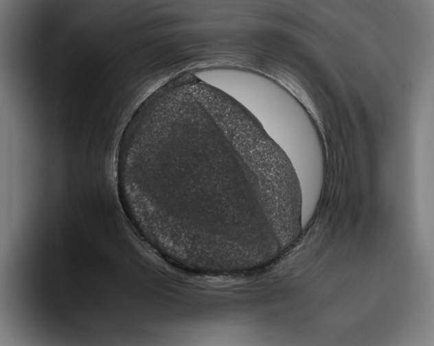 X0000094820389200712071250