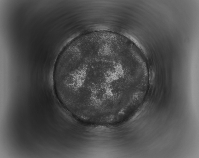X0000094820390200712071250