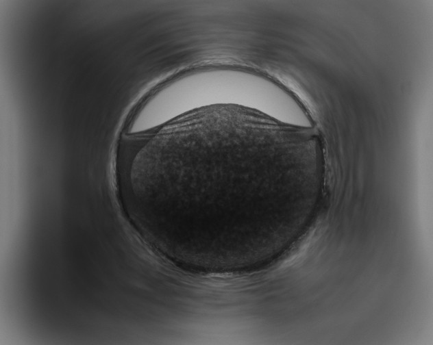 X0000094820391200712071250