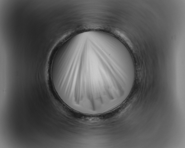 X0000094820395200712071250