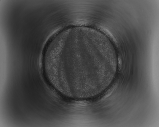 X0000094820396200712071250