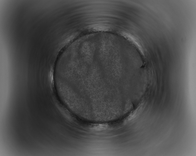 X0000094820398200712071250
