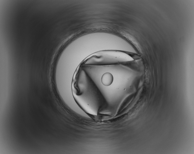 X0000094820399200712071250