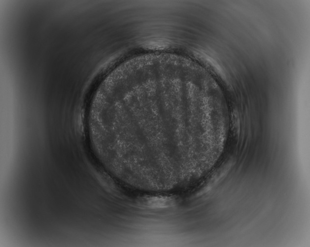 X0000094820400200712071250