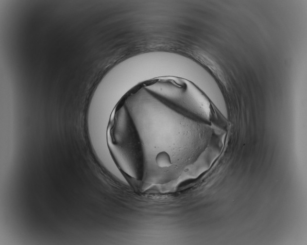 X0000094820401200712071250