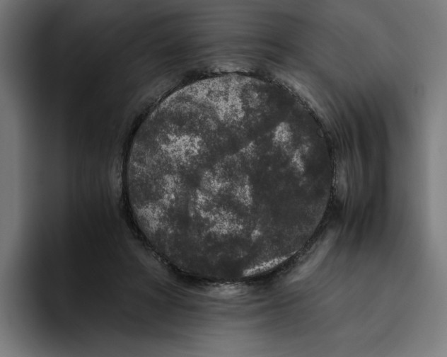 X0000094820402200712071250