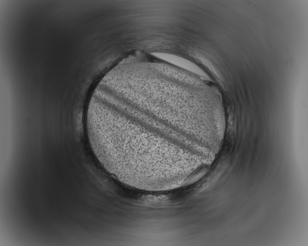 X0000094820403200712071250