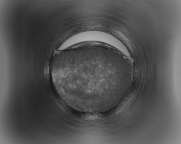 X0000094820405200712071250