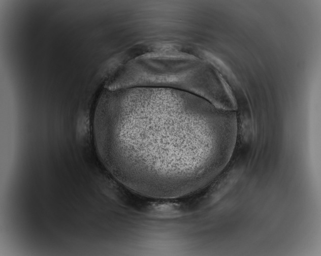 X0000094820407200712071250