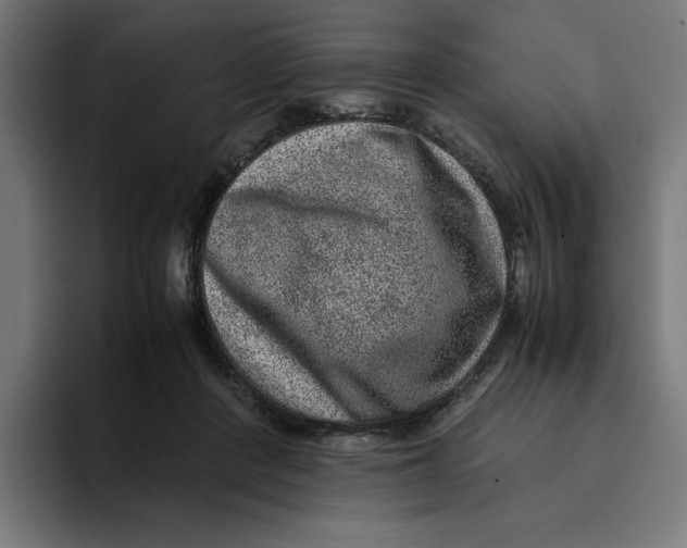 X0000094820408200712071250