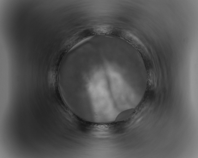 X0000094820409200712071250
